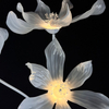 6-Petal Flower Aisle Light (Acrylic Glowing Decor)